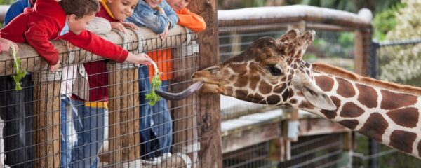 zoo vienne