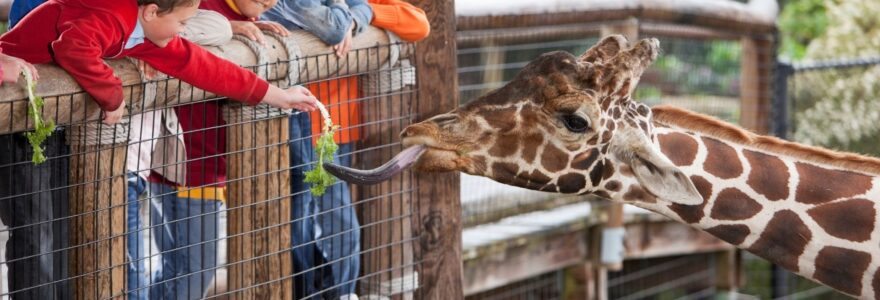 zoo vienne